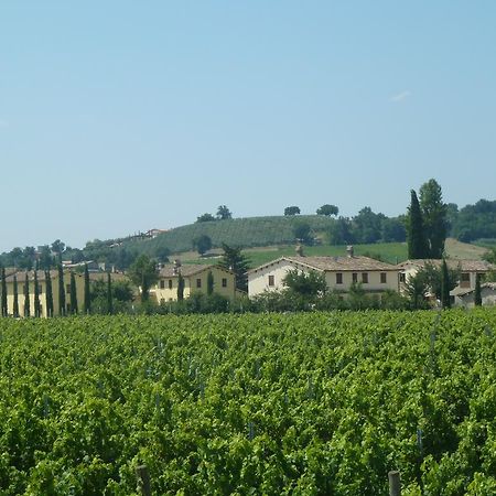Agriturismo Villaggio Green Montefalco Exteriör bild