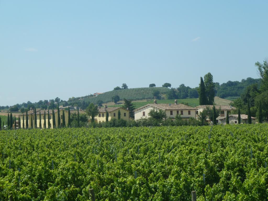 Agriturismo Villaggio Green Montefalco Exteriör bild